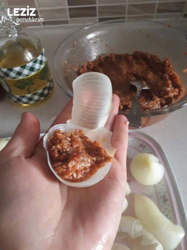 Mükemmel Soğan Dolması