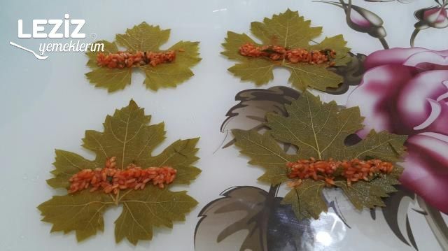 Zeytinyağlı Yaprak Sarma (Tüm Aşamaları İle)