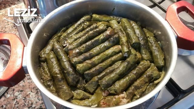 Zeytinyağlı Yaprak Sarma (Tüm Aşamaları İle)
