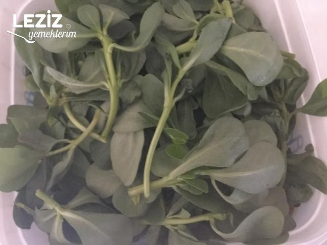 Meyveli Semizotu Salatası