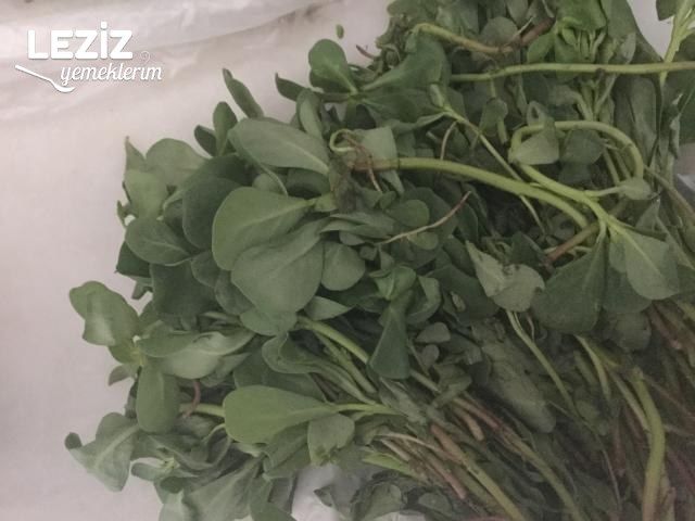 Meyveli Semizotu Salatası