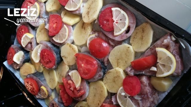 Fırında Kaşarlı Palamut