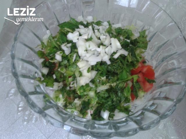 Nefis Salata Tarifi