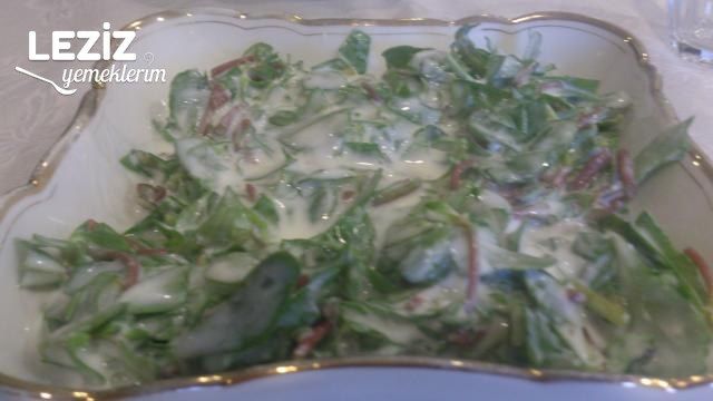 Yoğurtlu Semizotu Salatası