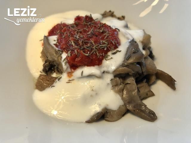 Yoğurt Soslu Kekikli Mantar Sote