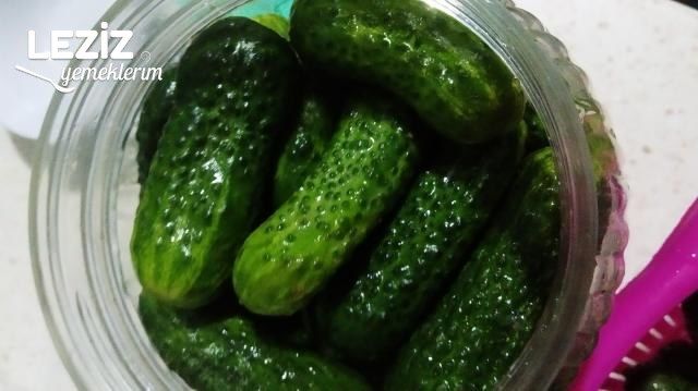 şükran kaymak kornişon turşu tarifi
