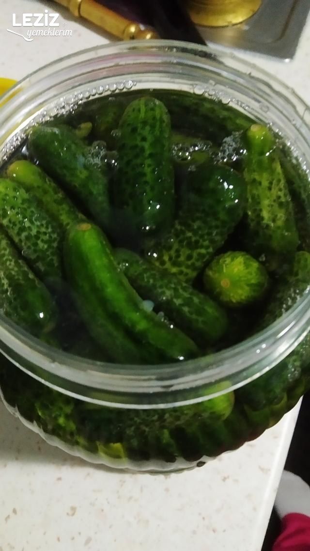 Kornişon Turşu Tarifi (Kıtır Kıtır)