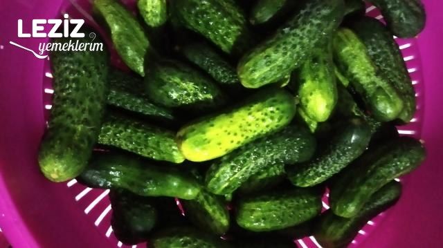 Kornişon Turşu Tarifi (Kıtır Kıtır)