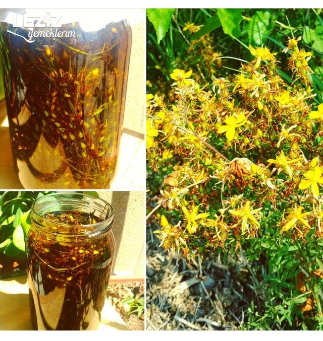 Her Derde Deva Sarı Kantaron Yağının Yapılışı