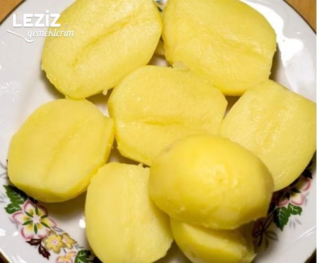Fresh Renk Cümbüşü Salata  (Kek Kalıbında)