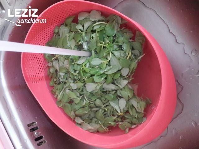 Yoğurtlu Semizotu Salatası (Aşama Aşama Anlatım)