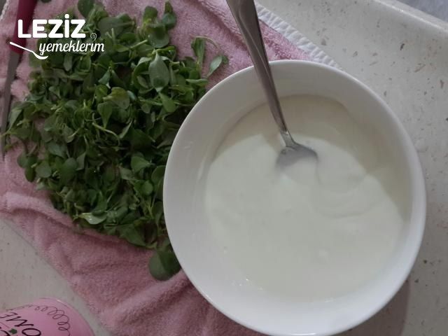 Yoğurtlu Semizotu Salatası (Aşama Aşama Anlatım)