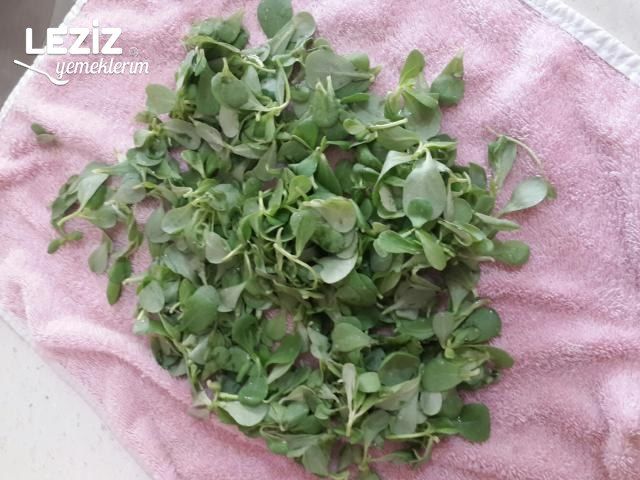 Yoğurtlu Semizotu Salatası (Aşama Aşama Anlatım)