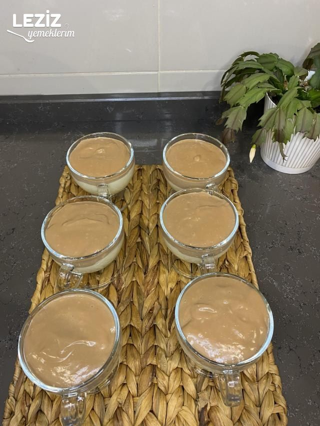 İki Renkli Magnolia