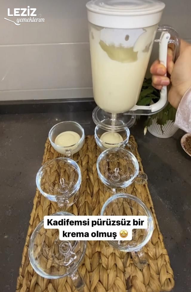 İki Renkli Magnolia