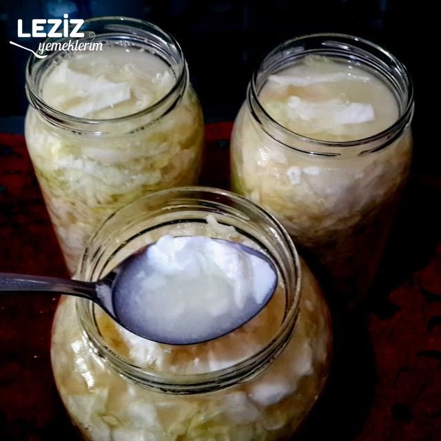 Probiyotik Lahana Turşusu