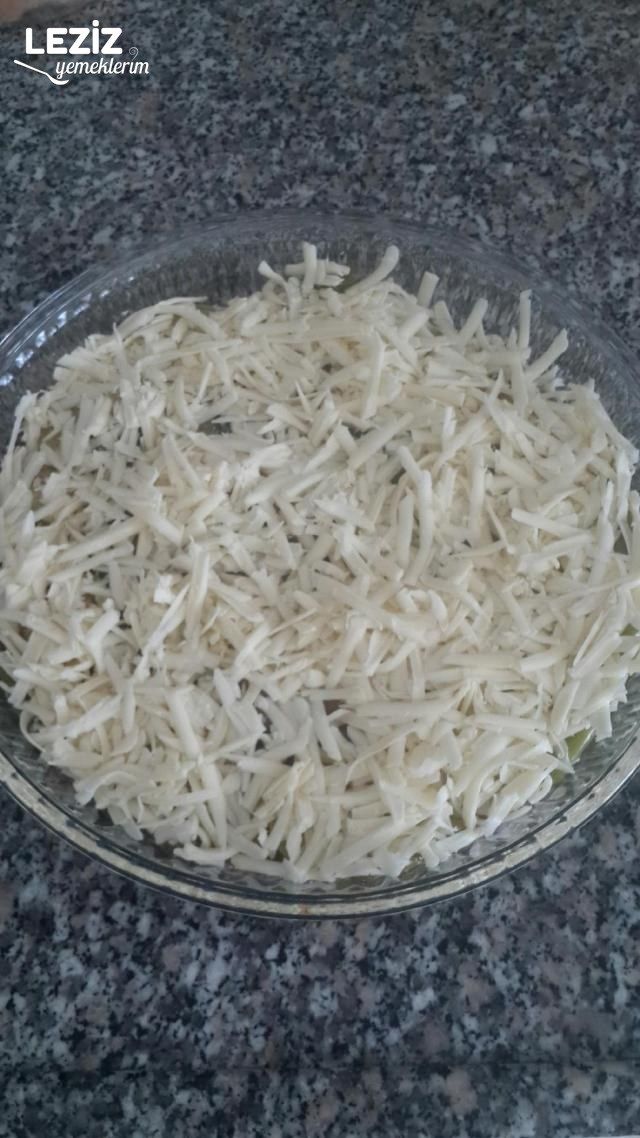 Kabak Patlıcan Oturtması