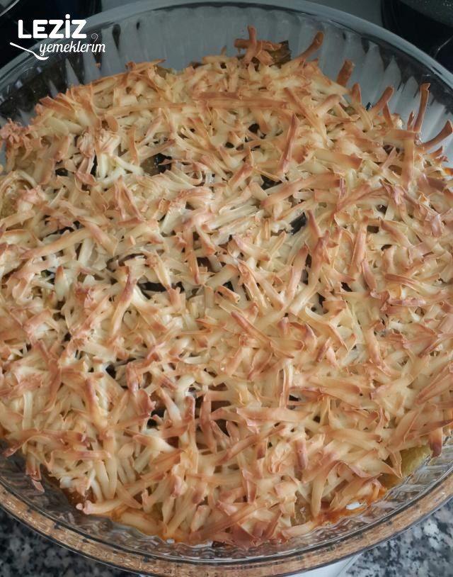 Kabak Patlıcan Oturtması