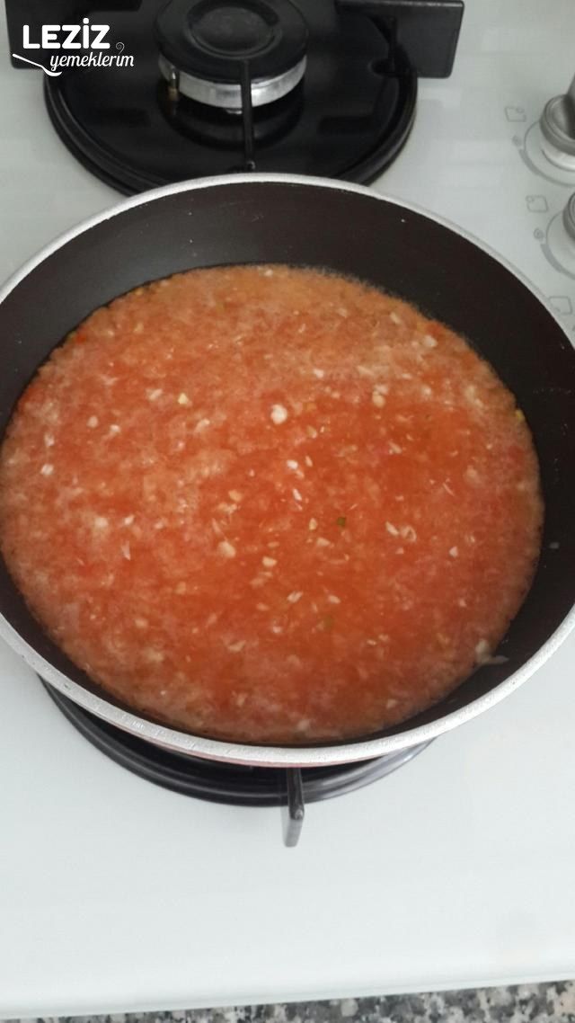 Kabak Patlıcan Oturtması