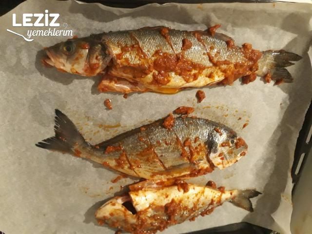Soslu Balık (Levrek Ve Çupra)