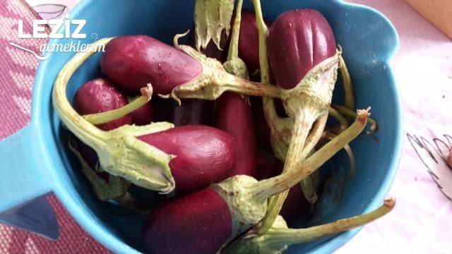 Kıymalı Yaz Dolması (Patlıcan İle)