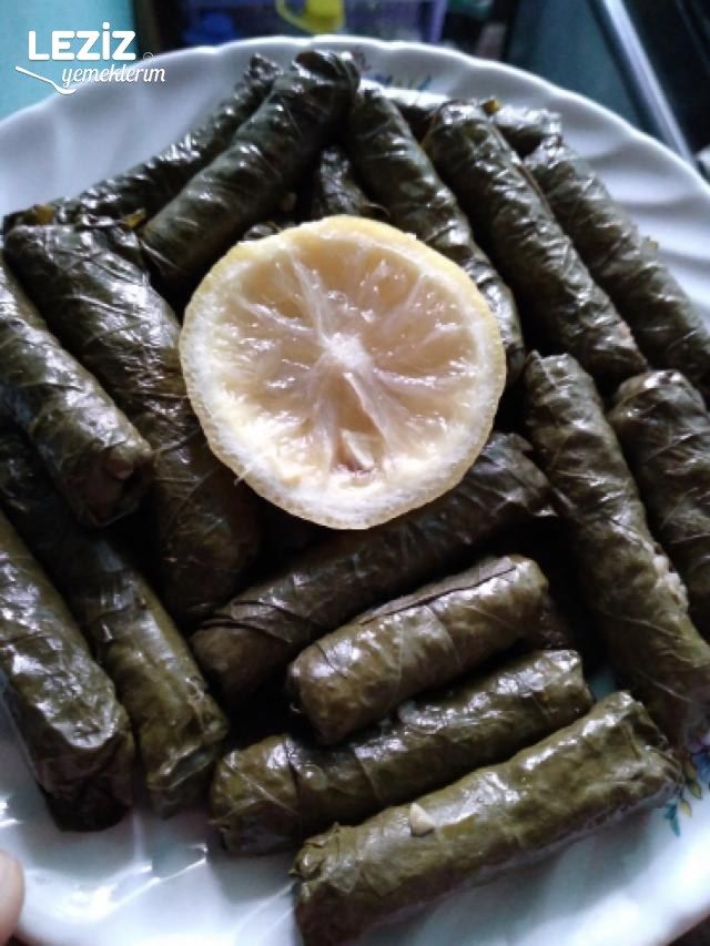Zeytinyağlı Yaprak Sarması
