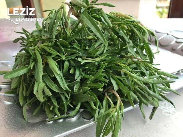Kahvaltılık Zeytinyağlı Kekik