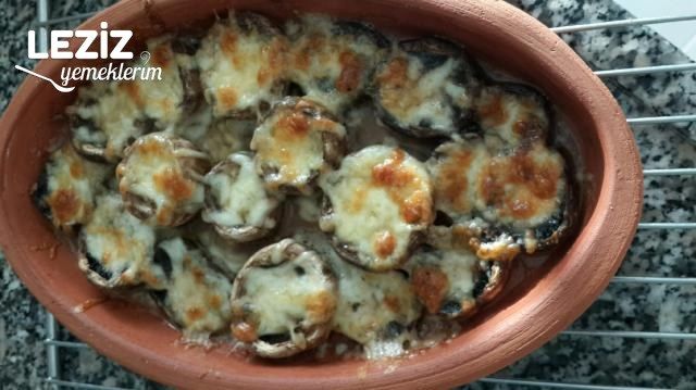 Kiremitte Kaşarlı Mantar