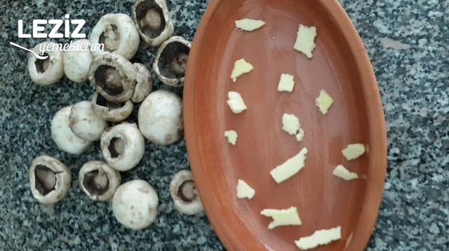 Kiremitte Kaşarlı Mantar