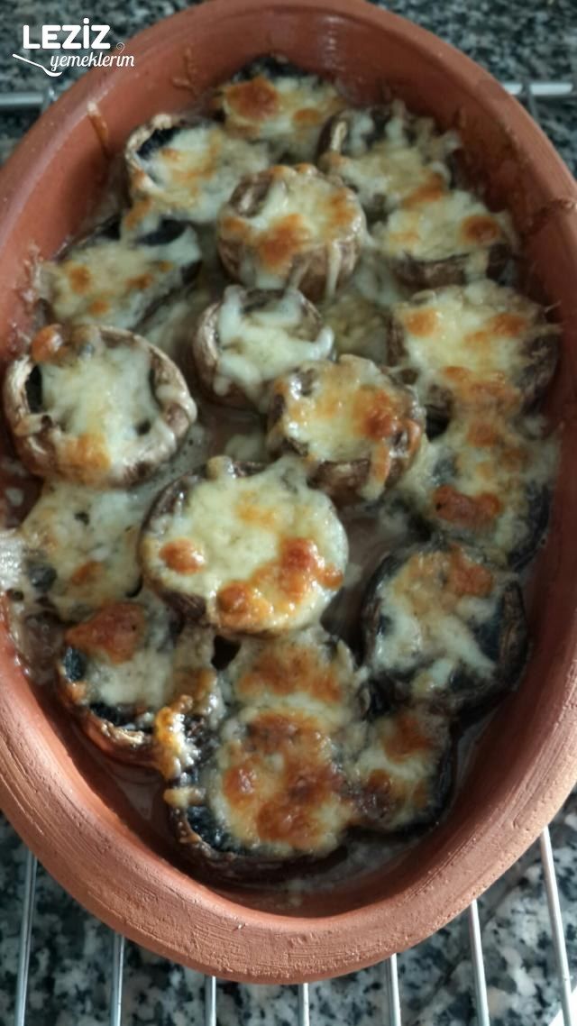 Kiremitte Kaşarlı Mantar