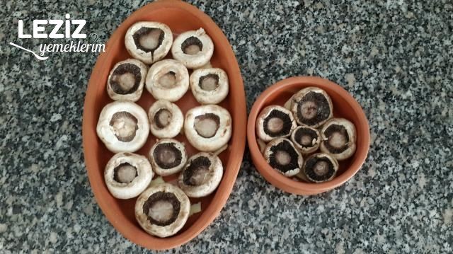 Kiremitte Kaşarlı Mantar