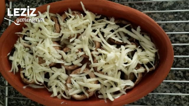 Kiremitte Kaşarlı Mantar