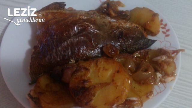 Fırında Tahinli Alabalık