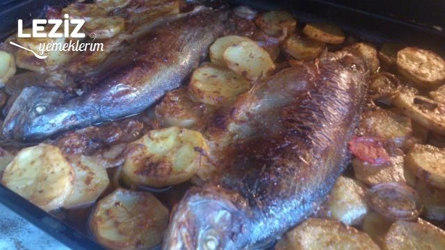 Fırında Tahinli Alabalık