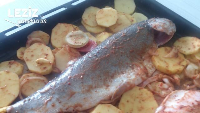 Fırında Tahinli Alabalık