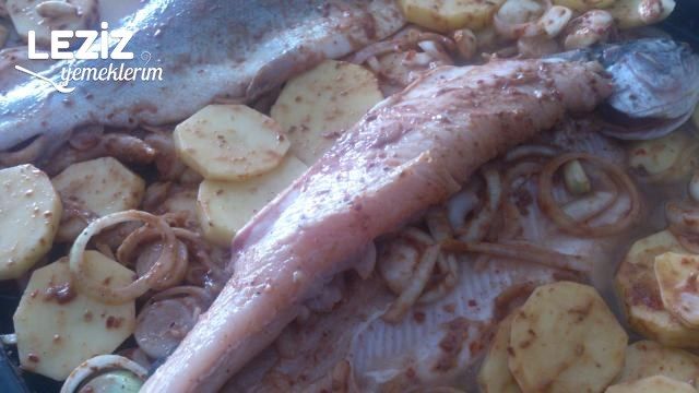 Fırında Tahinli Alabalık