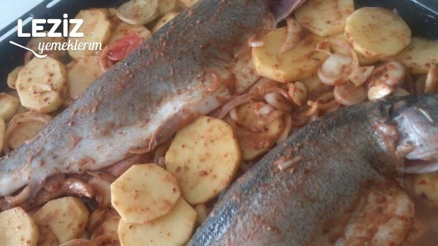 Fırında Tahinli Alabalık