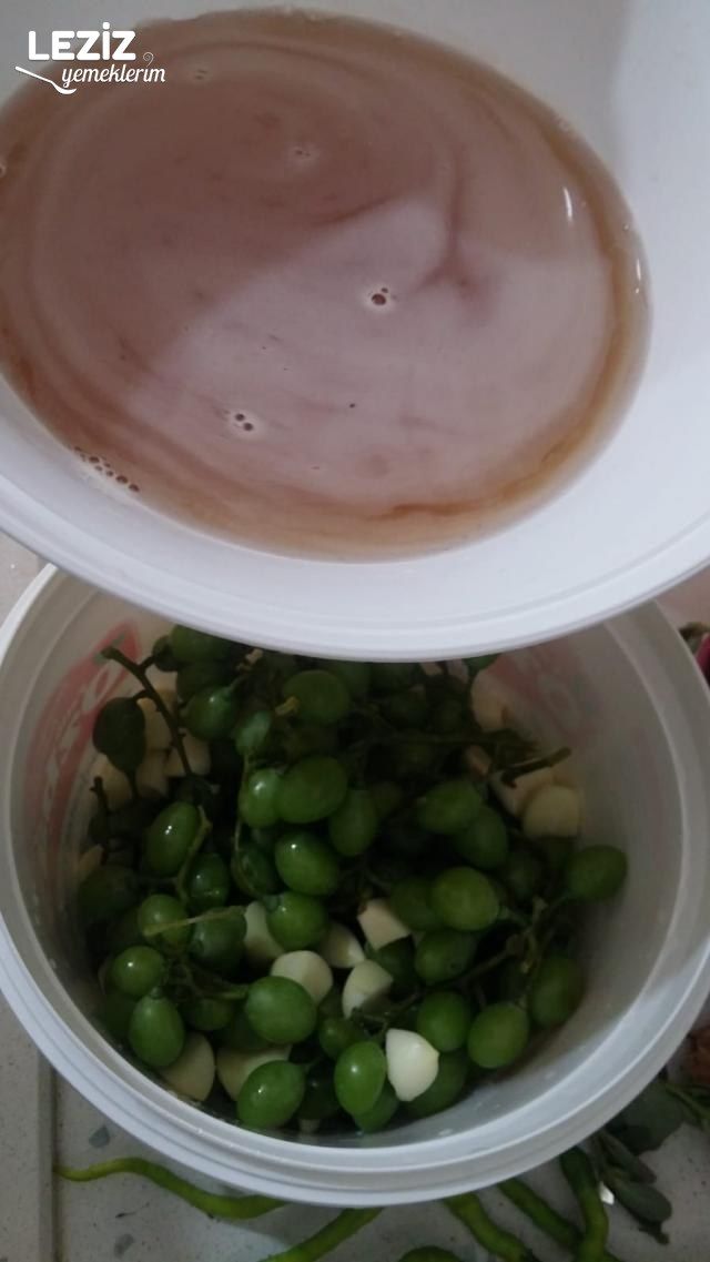 Nefis Koruk Turşusu