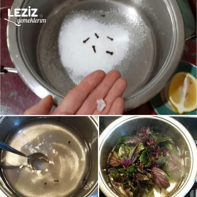 Mis Kokulu Reyhan Şerbeti