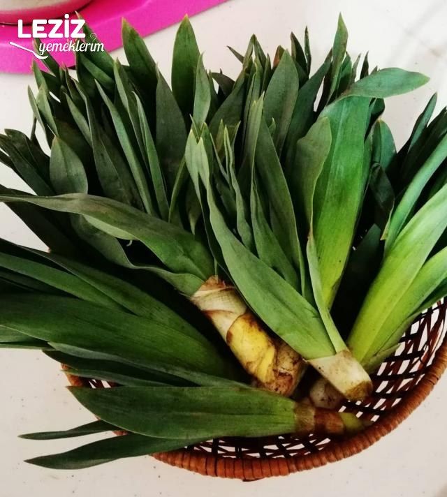 Yoğurtlu Çiriş Çorbası