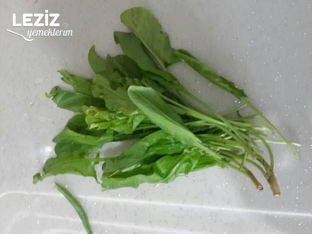 Közlenmiş Soğan Salatası