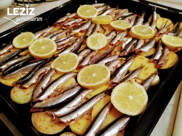 Fırında Sebzeli Hamsi