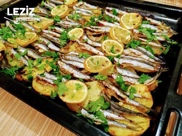 Fırında Sebzeli Hamsi