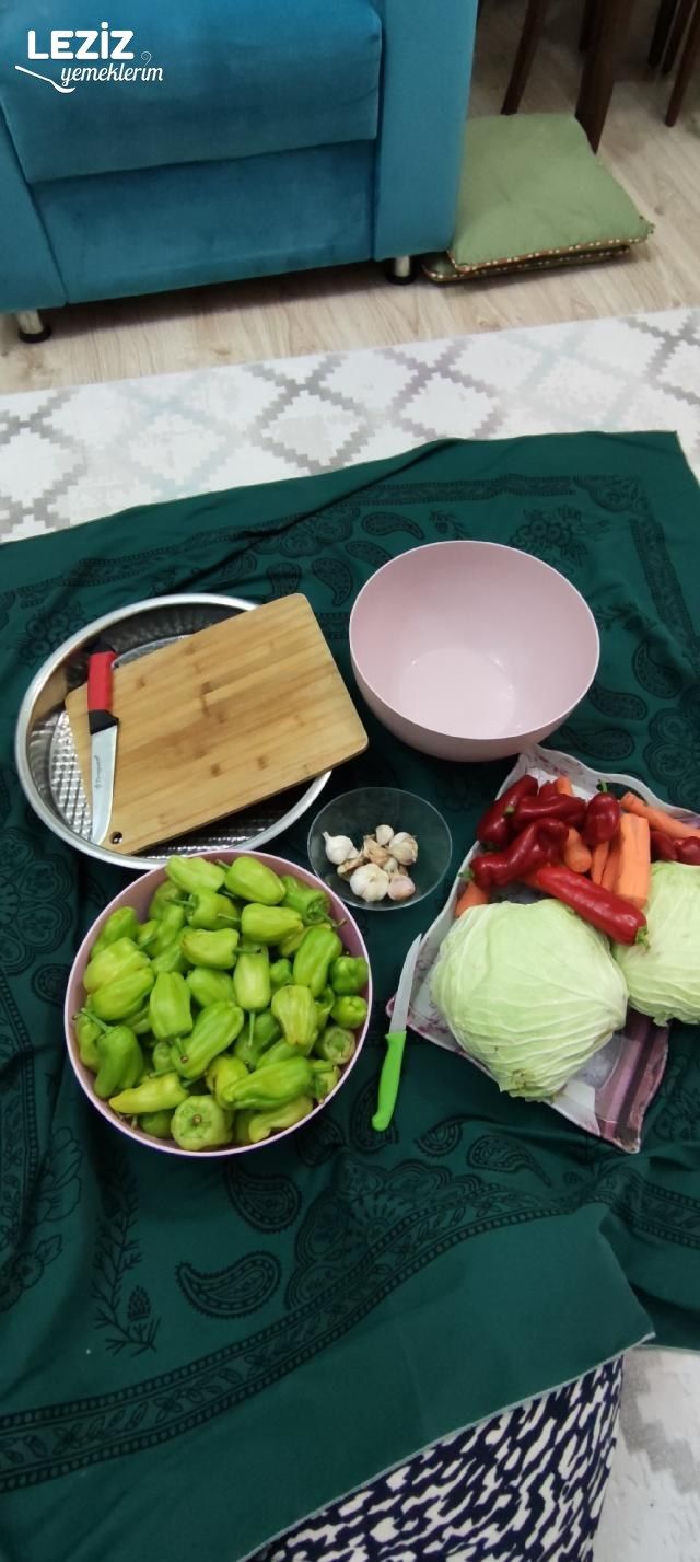 İçi Sebze Dolu Dolma Biberi Turşusu Tarifi