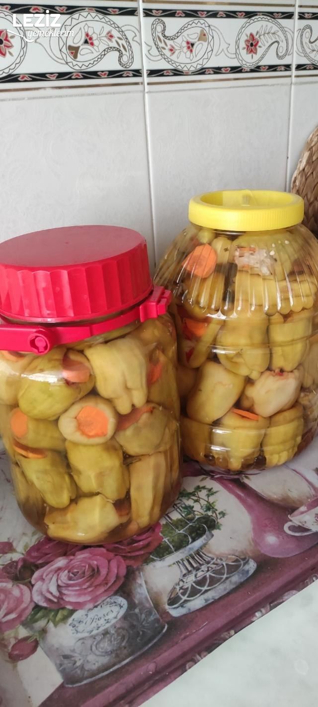 İçi Sebze Dolu Dolma Biberi Turşusu Tarifi