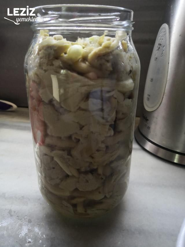 İstiridye Mantarından Nefis Turşu Yapımı