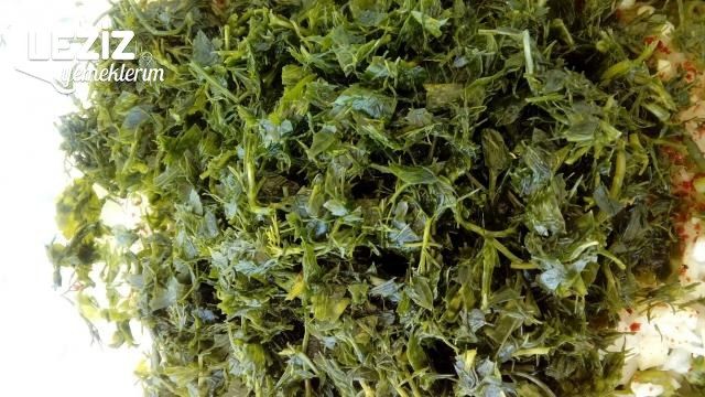 Kabak Mücveri' Nin Aslı Burda