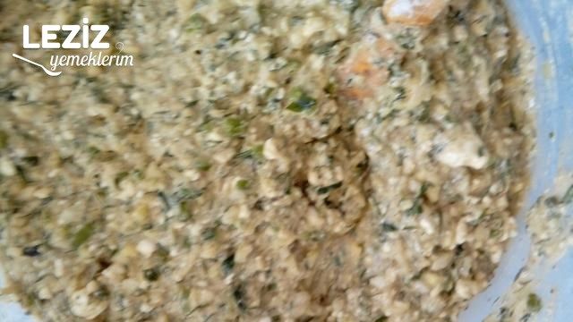 Kabak Mücveri' Nin Aslı Burda