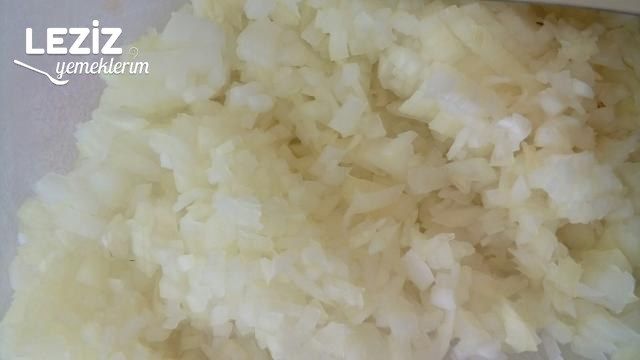 Kabak Mücveri' Nin Aslı Burda