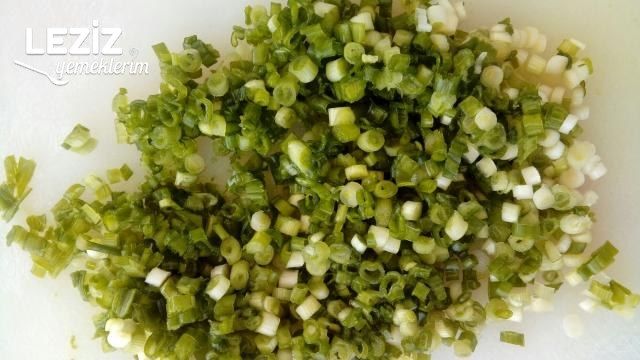 Kabak Mücveri' Nin Aslı Burda